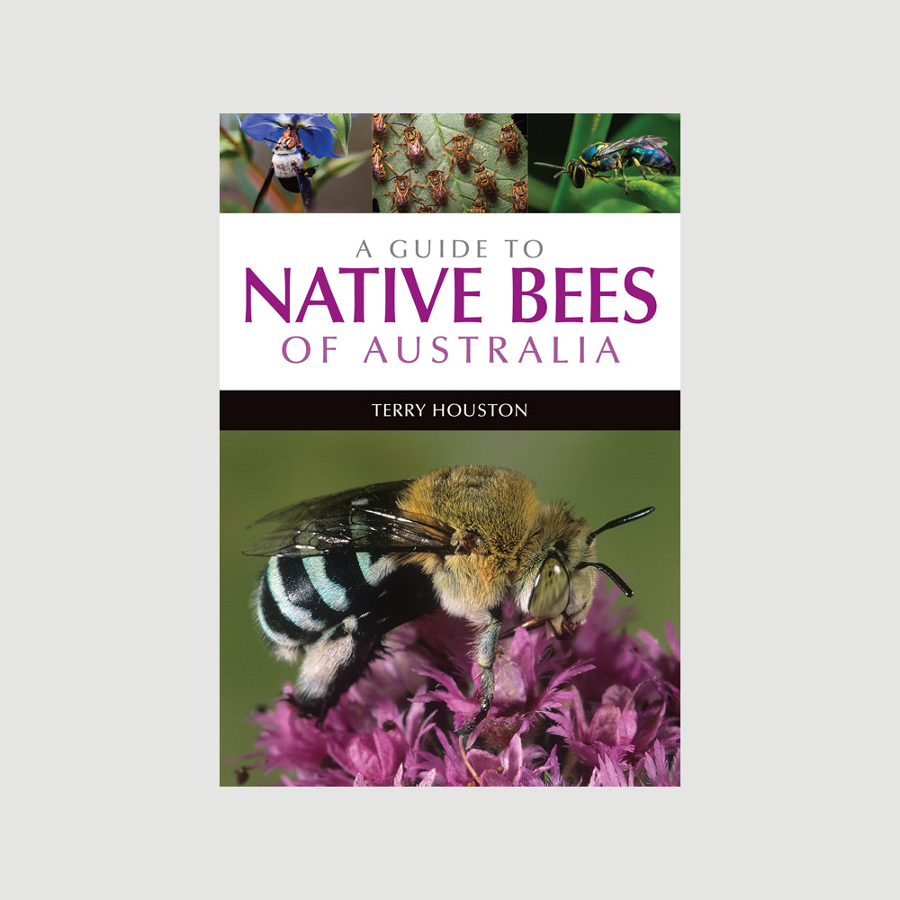 guide to native bees of Australia. Australian Museum Shop Online