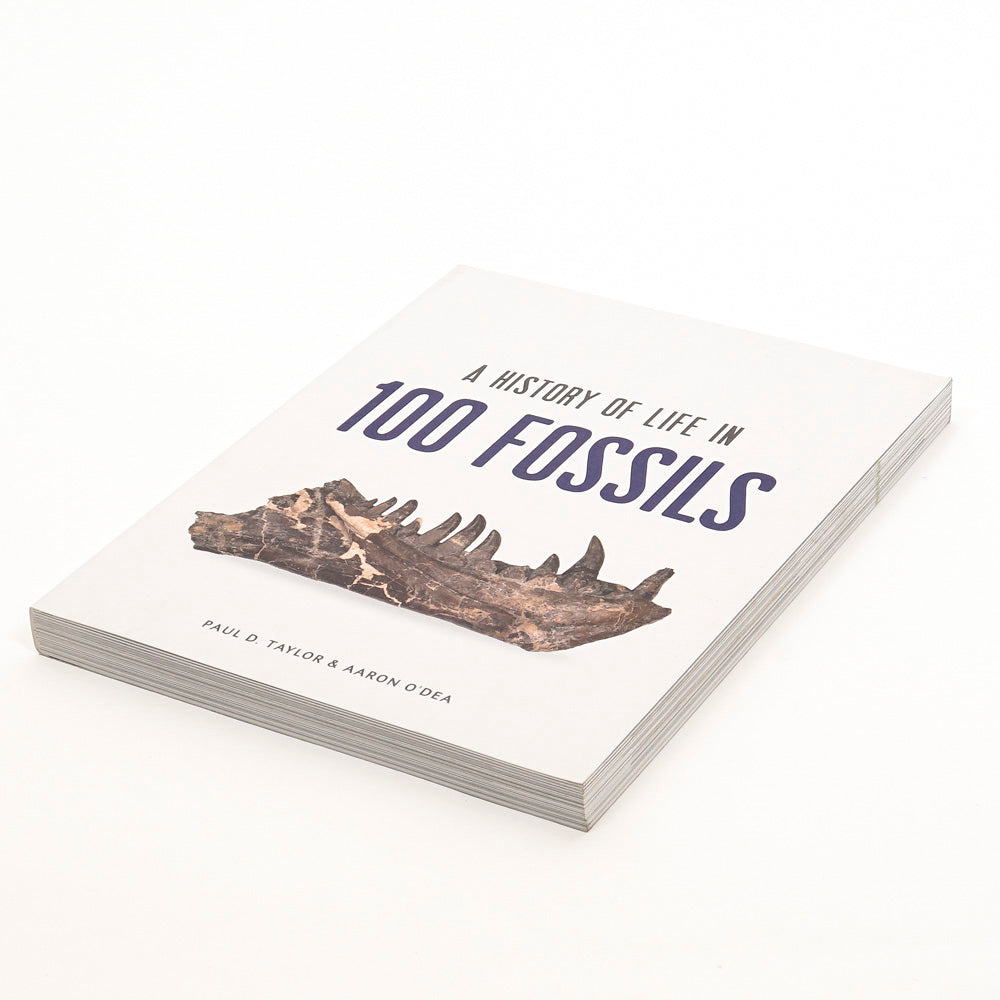 A History of Life in 100 fossils. Australian Museum Shop online