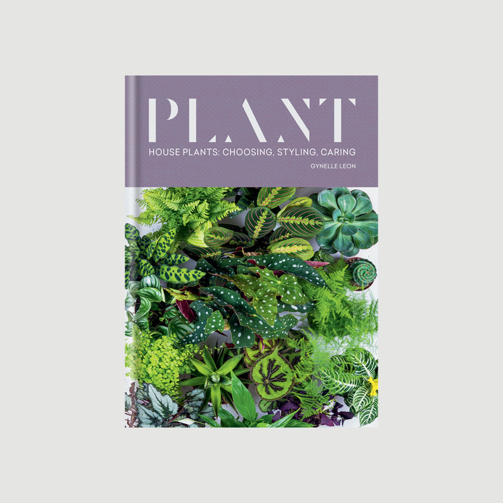Plant: House Plants - choosing, styling and caring. Australian Museum Shop online