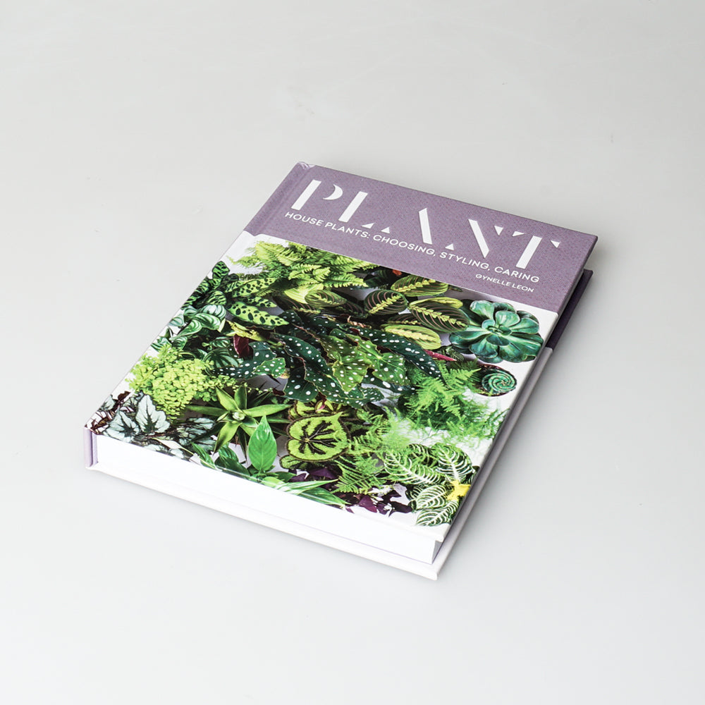 Plant: House Plants - choosing, styling and caring. Australian Museum Shop online