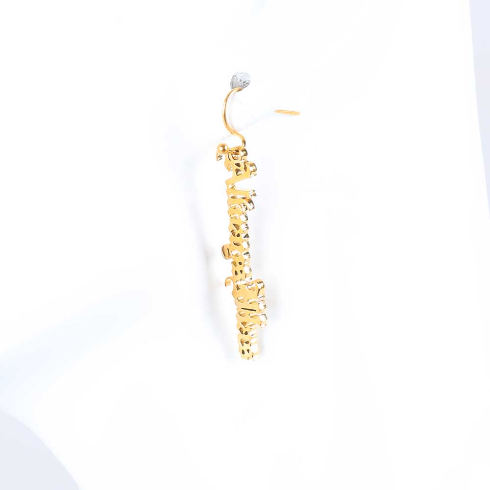 Always was always will be gold plated earrings by David Doyle. Australian Museum Shop online