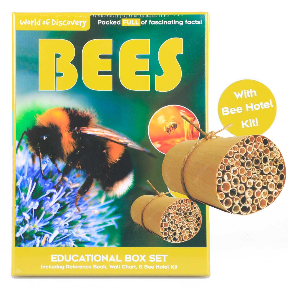 Bees educational discovery kit Australian Museum Shop online
