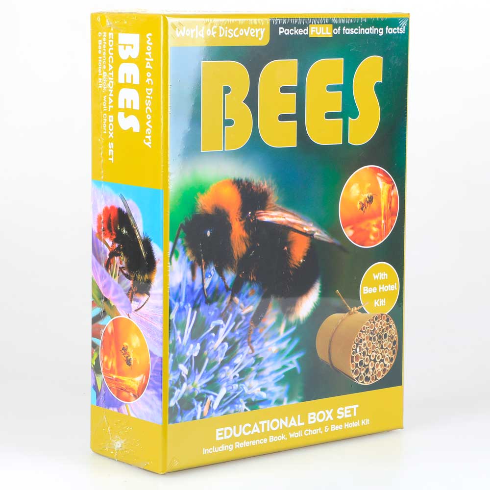 Bees educational discovery kit Australian Museum Shop online