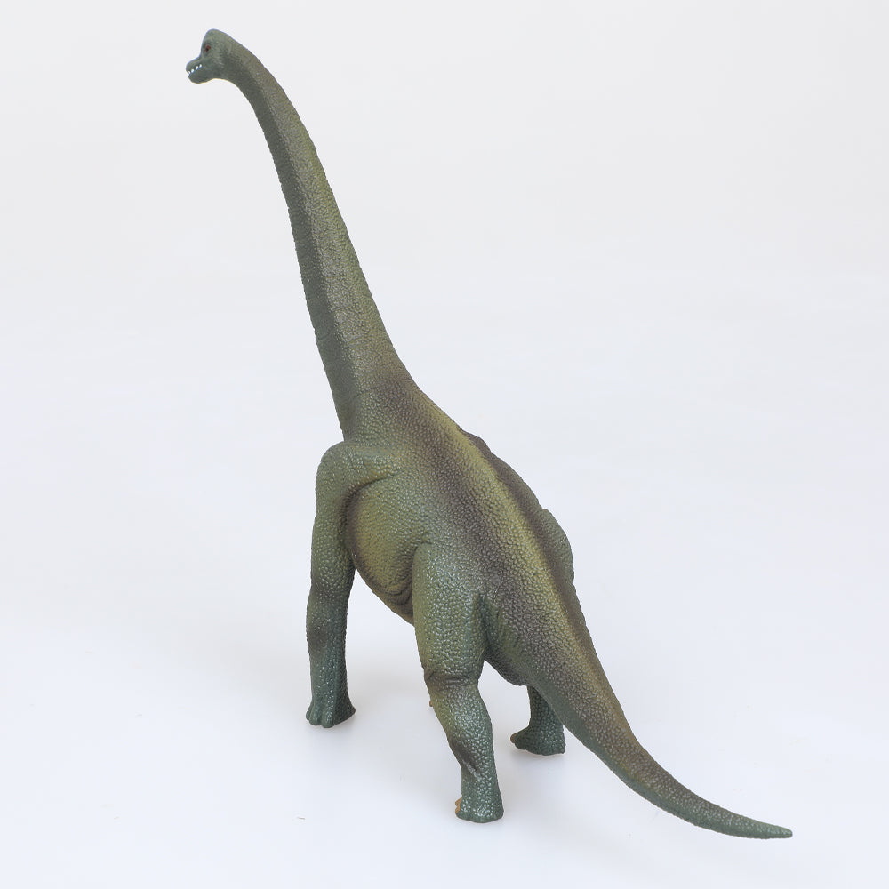 Brachiosaurus model. Australian Museum Shop online