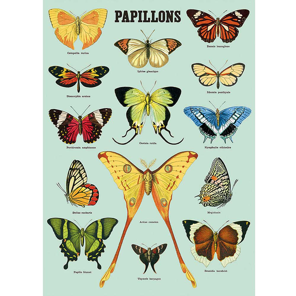 Papillons (butterflies) poster, gift wrap or craft paper Australian Museum Shop online