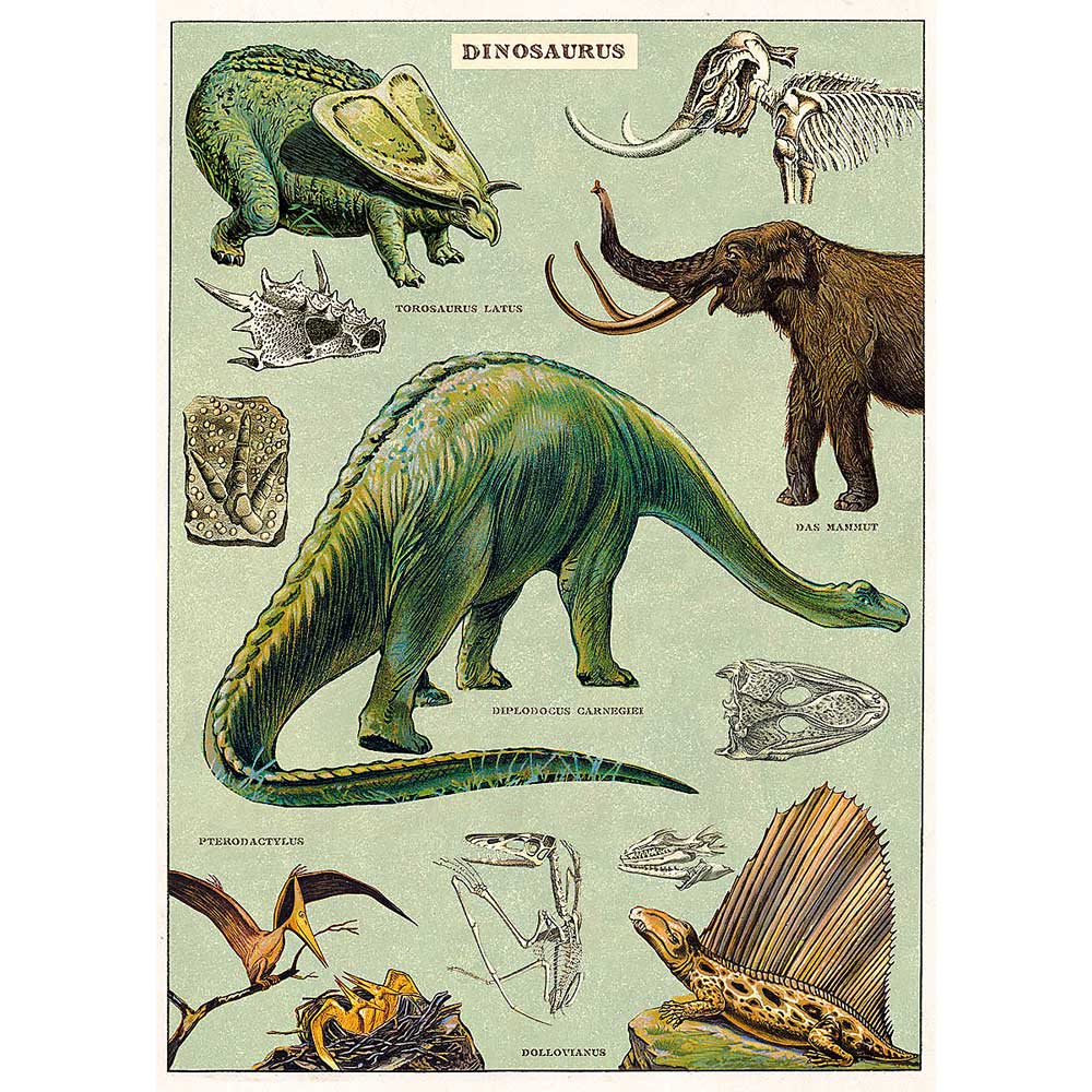 Dinosaurs vintage artwork poster Australian Museum Shop online