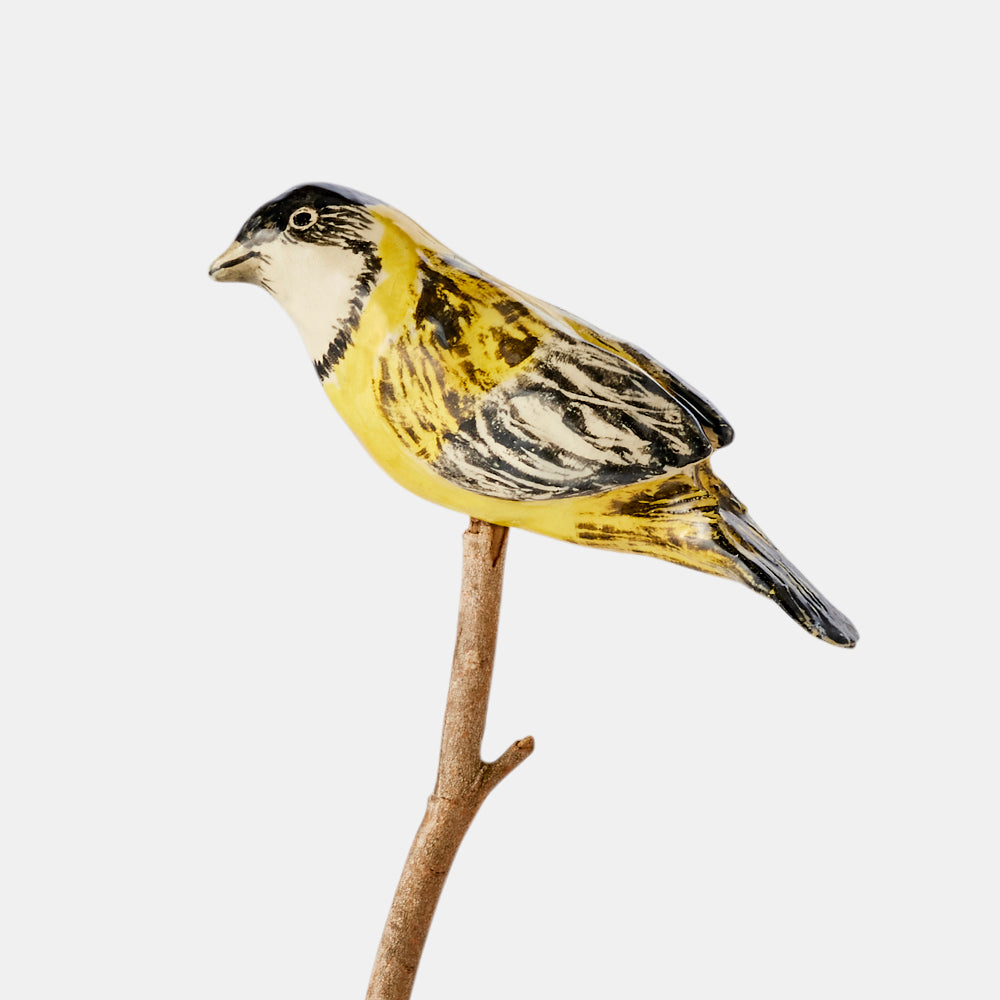 Golden whistler ceramic bird, Australian Museum Shop online