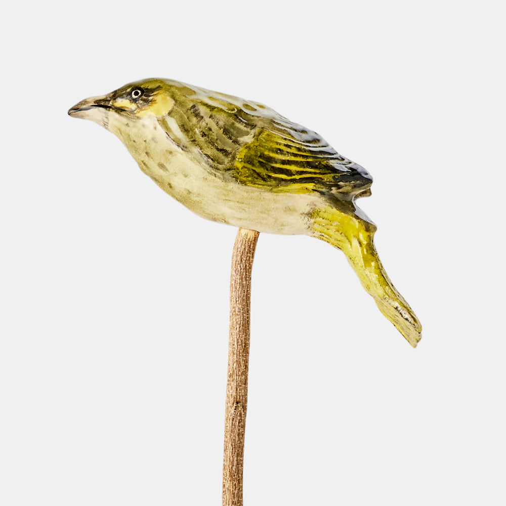 Lewin's honey eater ceramic bird. Australian museum shop online