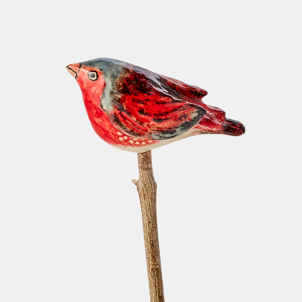 Crimson finch ceramic bird, Australian Museum Shop online