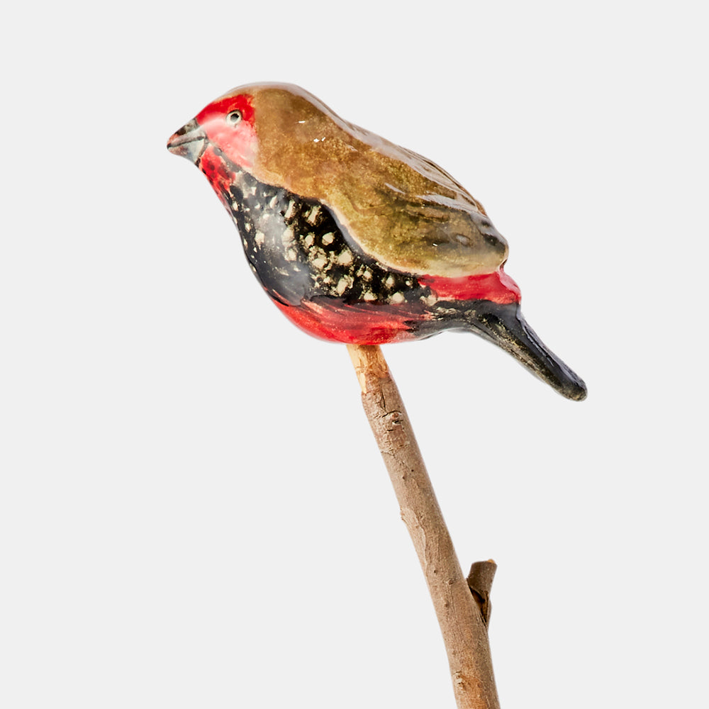 Painted Fire Tail Finch bird ceramic, Australian Museum Shop online