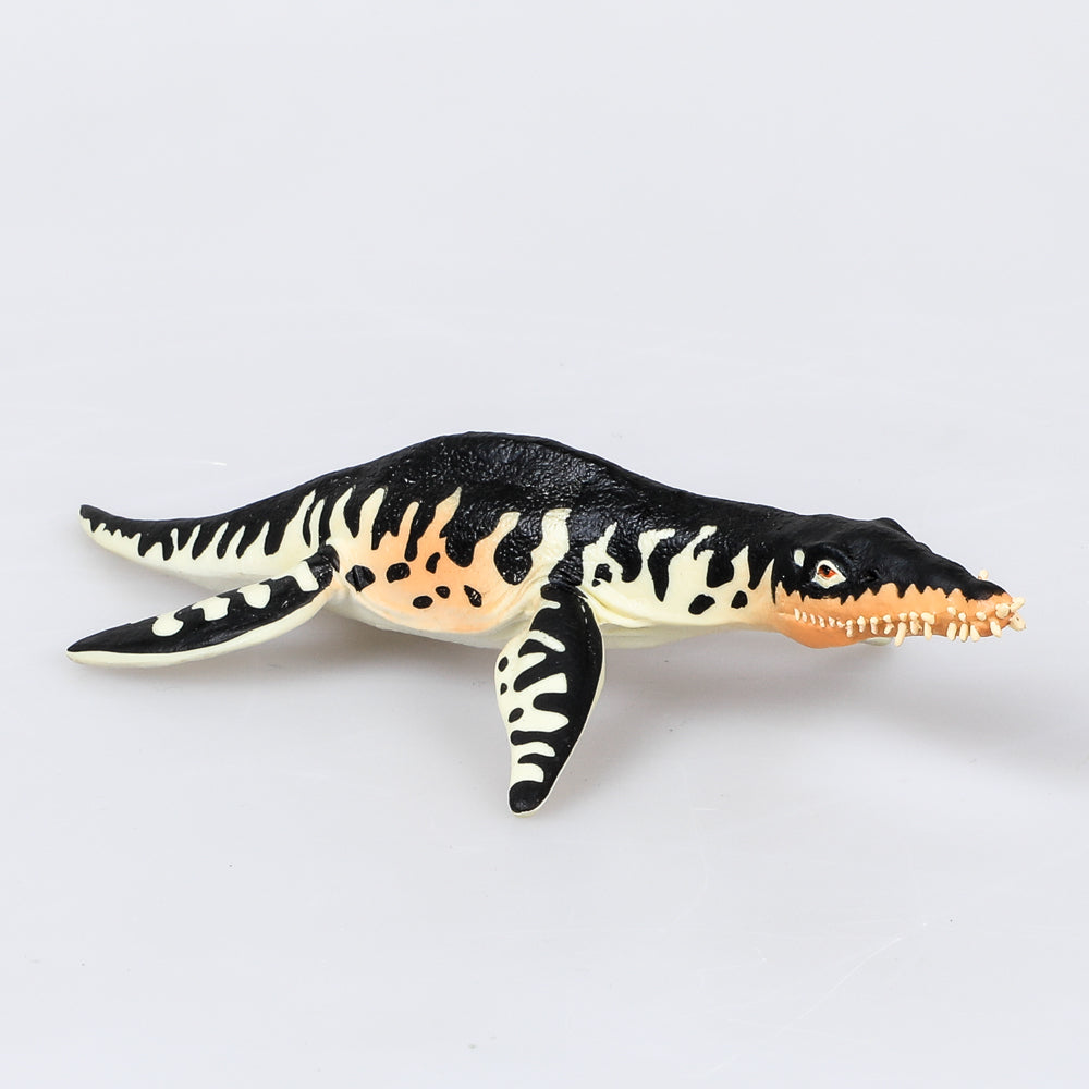 Liopleurodon model dinosaur replica on white background