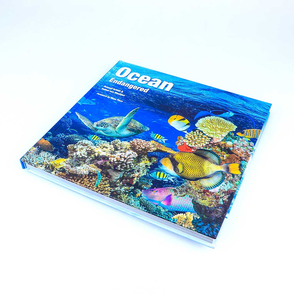 Ocean endangered book photographed on white Australian Museum shop online