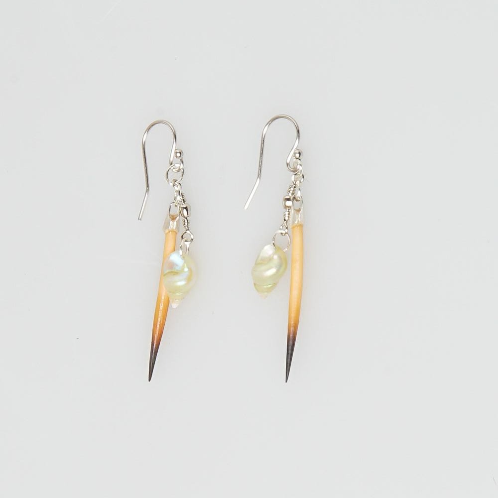 Mariner Shell and Echidna Quill Earrings by Jeanette James Australian Museum shop online