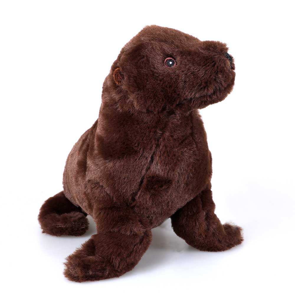 Sea Lion pup plush toy Australian Museum shop online