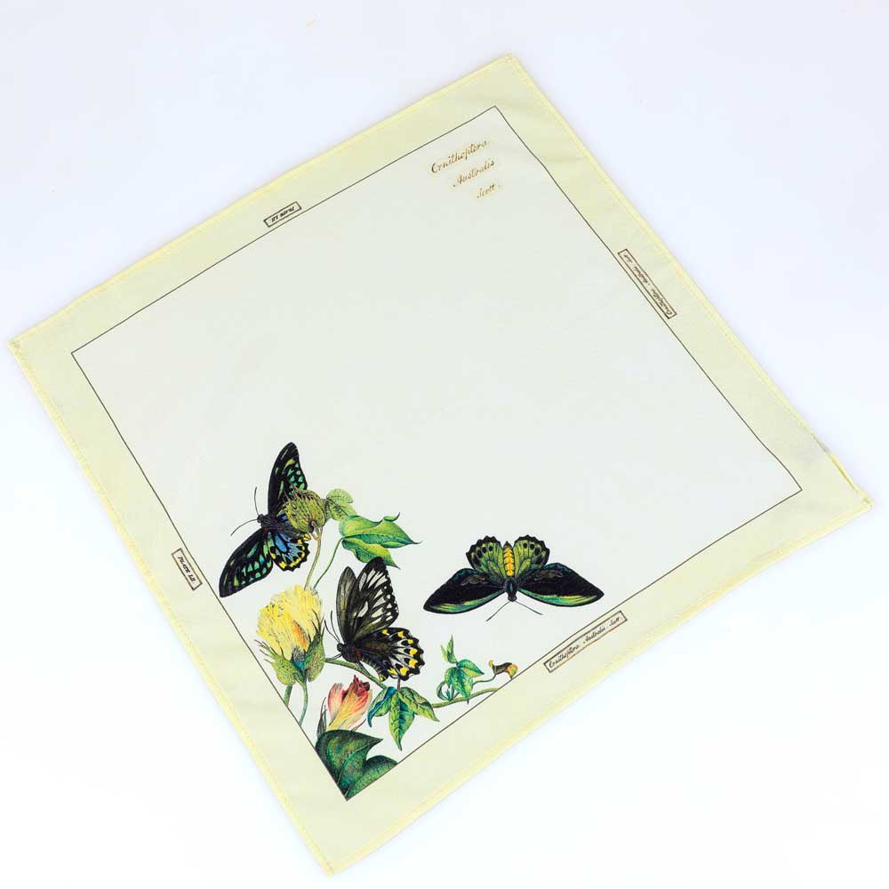Scott Sisters Butterfly illustrated silk pocket square