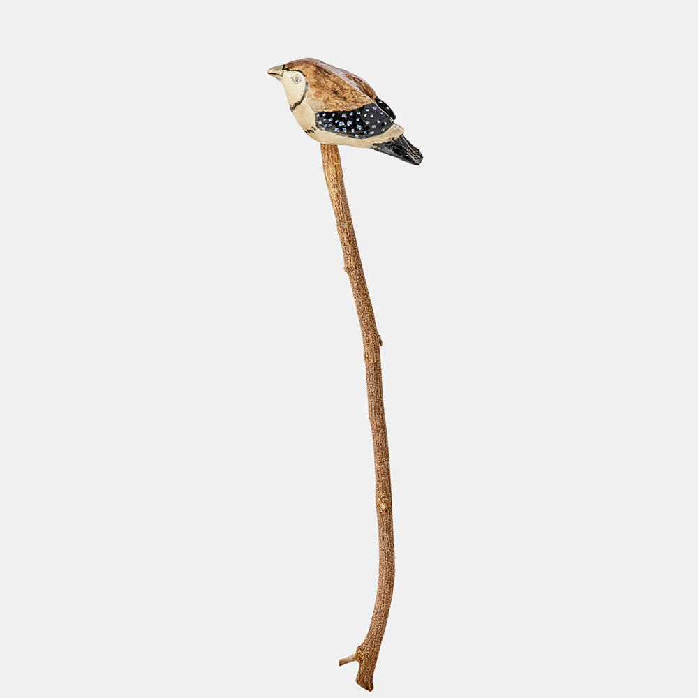 Double Barred Finch ceramic bird, Australian museum shop online