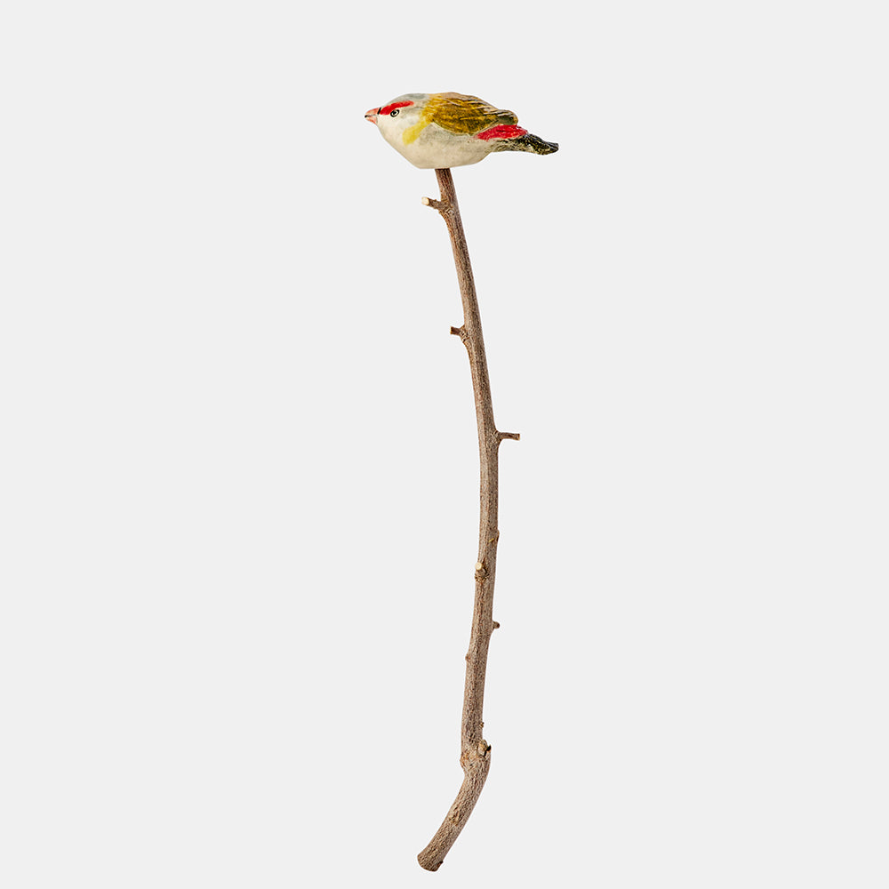 Red-browed finch ceramic bird, Australian Museum Shop online