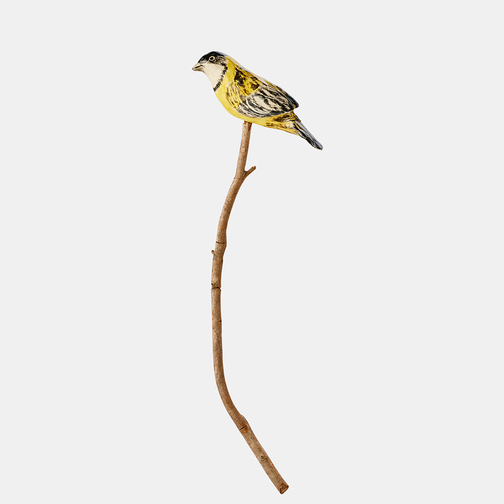 Golden whistler ceramic bird, Australian Museum Shop online